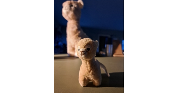 Alpaca Plush Keyrings