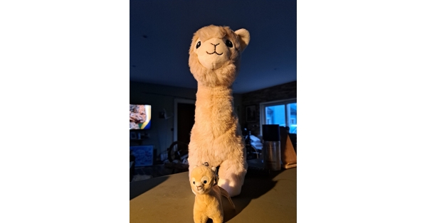 Hushabye Farm Plush Alpaca Teddy