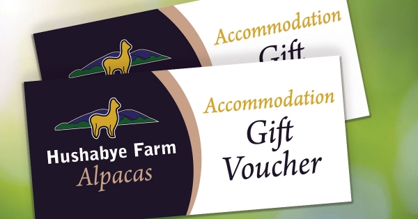 Accommodation Voucher