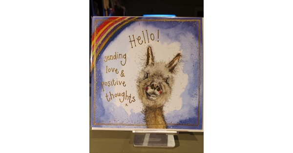 Alpaca Greeting cards